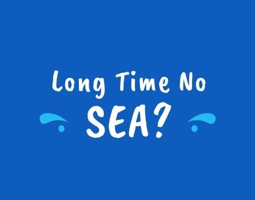 Long Time No SEA ?