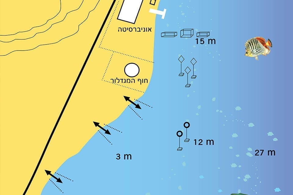 dive map of the university dive site in eilat