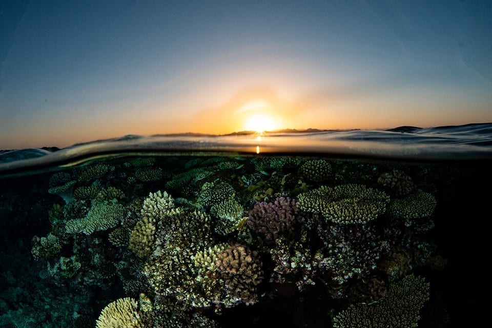 half and half sunset picture in eilat before night dive