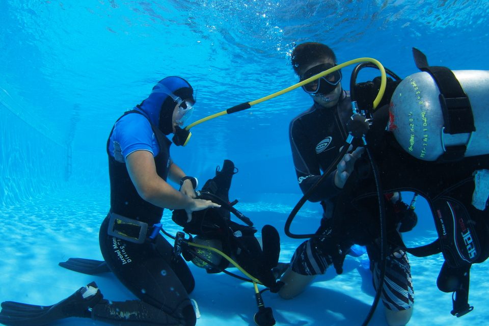 Gallery - MANTA ISROTEL DIVING CENTER